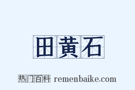 田黄石是什么意思的图片